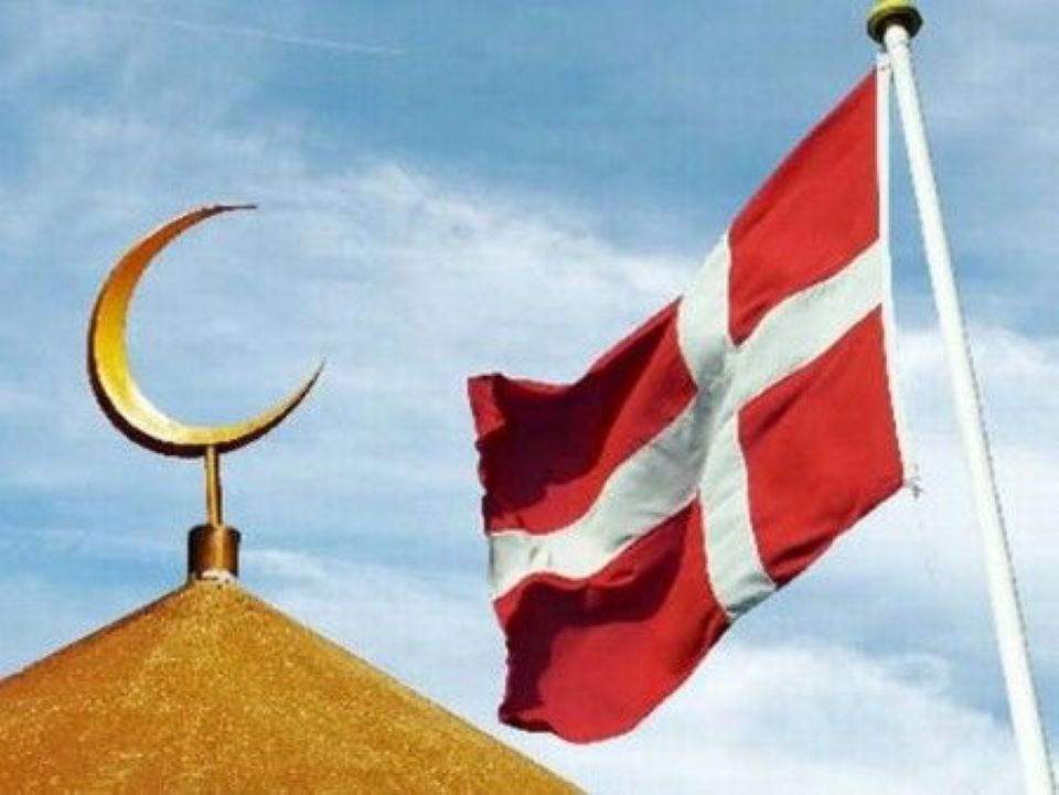 Muslimové k Dánům: Brzy vás přečíslíme a vaši zemi si vezmeme (video)5 (6)