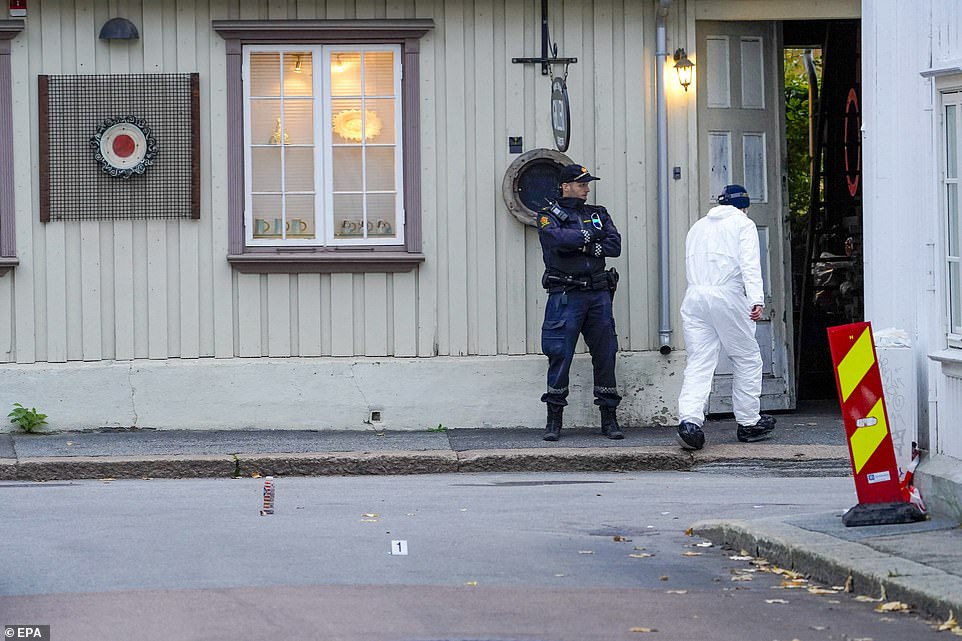 Norsko: Další informace k útoku vychází na povrch – koho a kde muslim vraždil