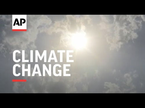 Agentura AP, podle níž píše i náš mainstream, přiznala, že je placena za šíření katastrofických klimatických vizí