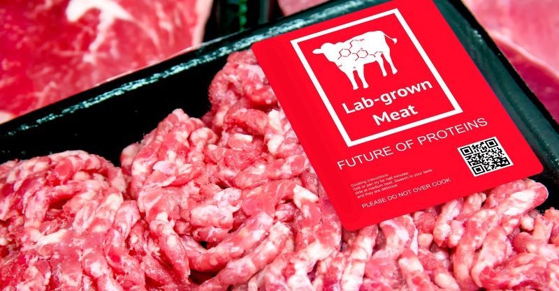 Laboratorní maso vyrobené z krve nenarozených krav – další ústupek klimaalarmistům5 (3)