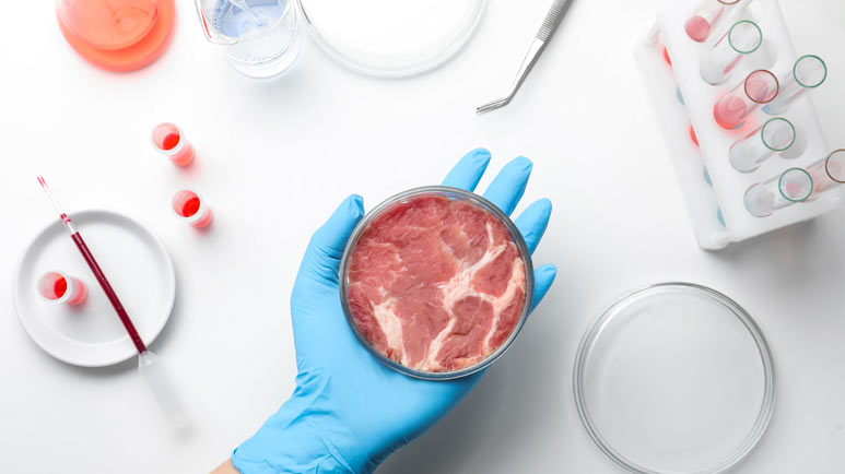 Může umělé maso u lidí způsobit rakovinu?5 (11)