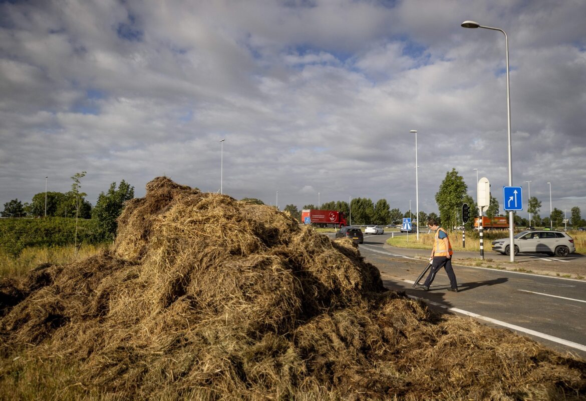 Nizozemští farmáři blokují dálnice hnojem a hořícím senem na protest proti klimatické agendě (videa)4.9 (16)