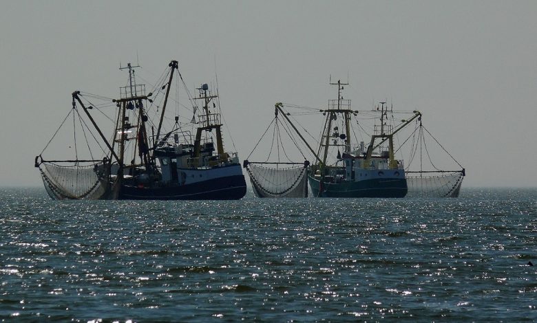 Nizozemí: Po likvidaci farmářů jsou nyní na řadě i rybáři5 (9)