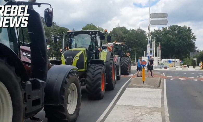 Farmáři varují: „Budeme protestovat způsobem, jaký Nizozemsko ještě nikdy nevidělo!“ (video)