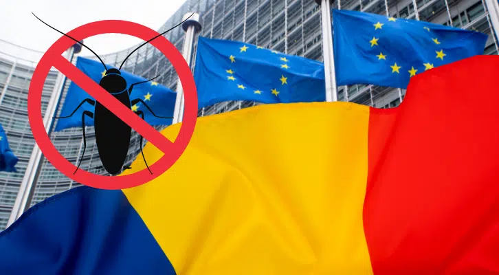 EU povolila již před rokem cvrčky, moučné červy a kobylky jako lidskou potravu, Rumuni nyní protestují5 (20)