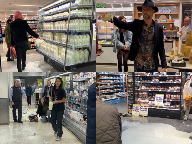 Velká Británie: Veganští extremisté vylévali mléko v supermarketech (video)