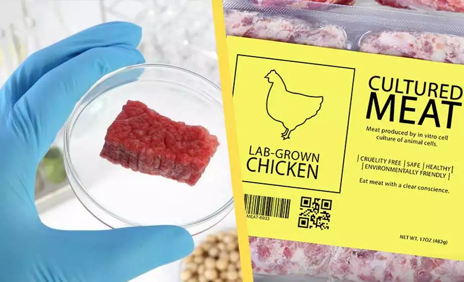 V „kuřecím mase“ z laboratoře byla nalezena DNA z hlodavců