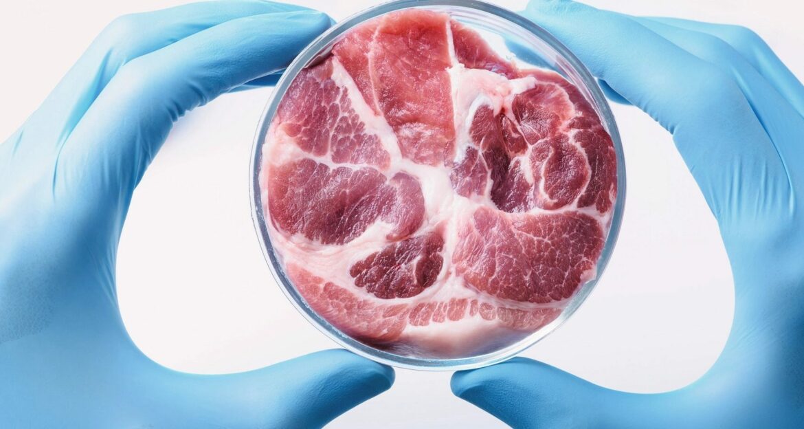 Itálie připravuje zákony, které by zakazovaly prodej laboratorního masa