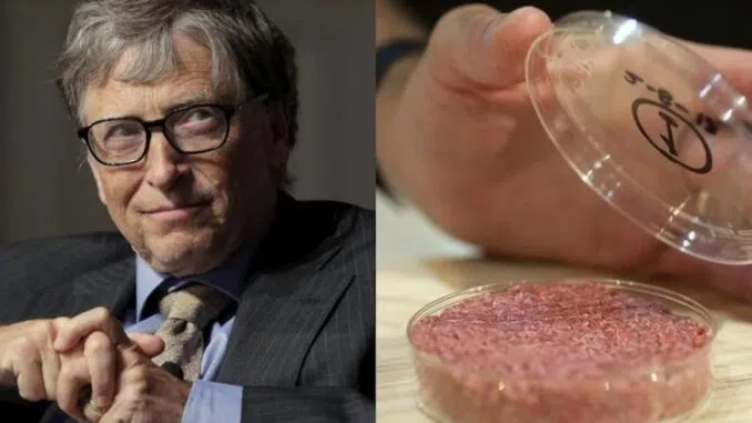 „Maso“ pěstované Billem Gatesem v laboratoři je podle studie 25krát horší pro klima než hovězí maso