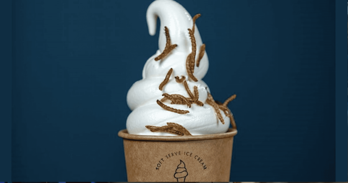 V pokrokovém Švédsku nabízejí lahodnou ekologickou zmrzlinu s křupavými červy