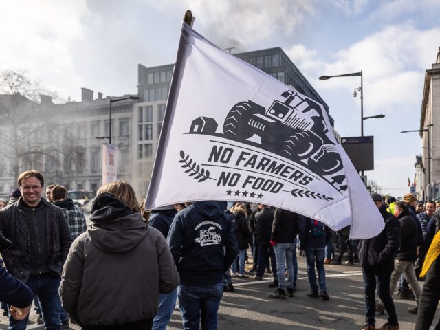 Protesty zemědělců po celé Evropě pokračují, brzy konečně vyrazí i naši (videa)5 (9)