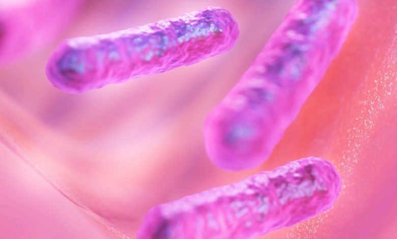 Další alarmující zjištění: Genové injekce likvidují prospěšné střevní bakterie (video)