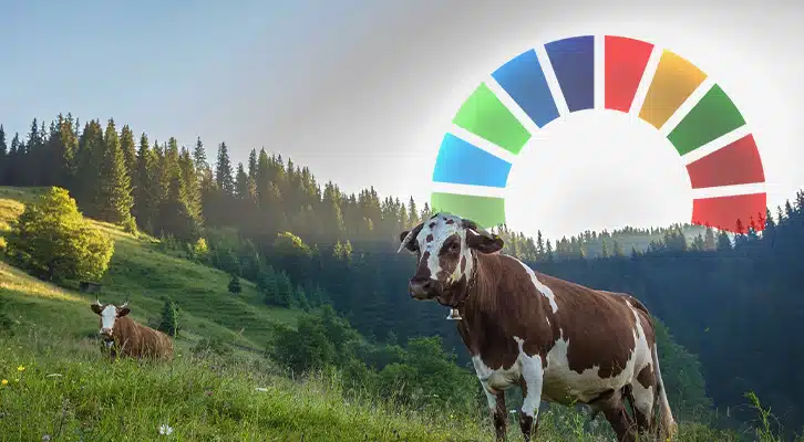 Klimatické šílenství: Britští farmáři budou muset podávat kravám přípravky proti říhání4.8 (6)