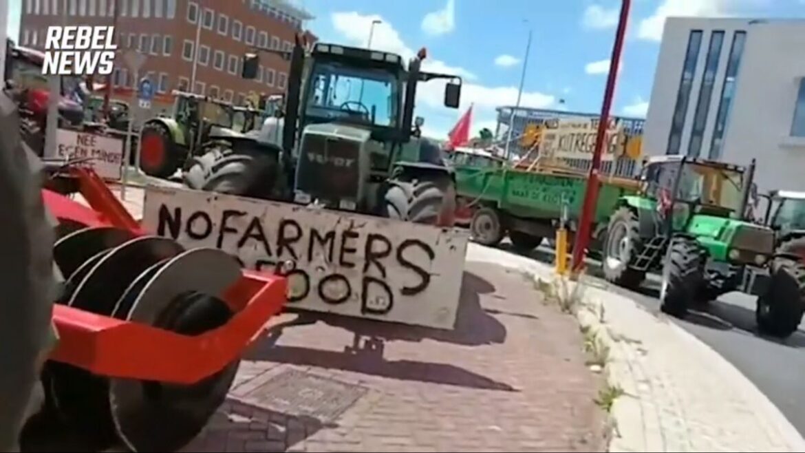 Dusík 2000: Výbušný dokument o vyvlastňování zemědělců nejen v Holandsku (video)
