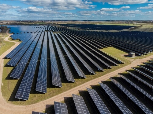 Na východě Německa se začne stavět monstrózní solární elektrárna, zničí kvůli ní 370 hektarů lesa