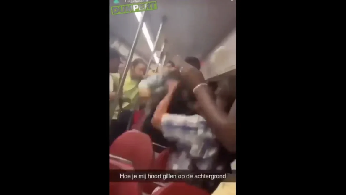 Nizozemí: Muž byl v tramvaji napaden smečkou obohacovačů (video)