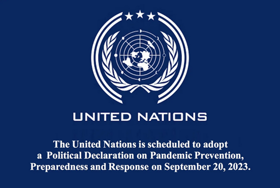 Členské státy OSN budou ve středu hlasovat o politické deklaraci, která má dát zelenou pandemické smlouvě WHO4.8 (31)