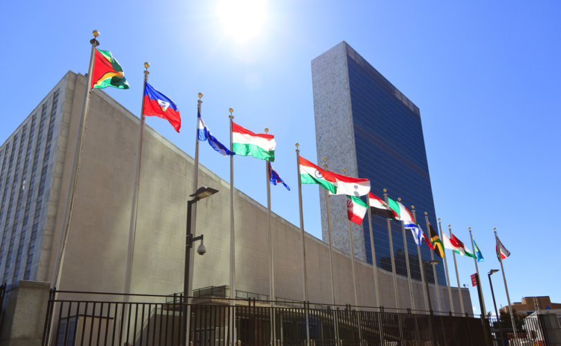 Jedenáct zemí je proti politické deklaraci OSN o pandemii4.9 (37)