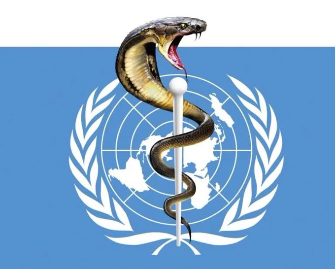 WEF, WHO, GAVI: Hlava hada se nachází v Ženevě, je třeba ji useknout (video)4.9 (31)