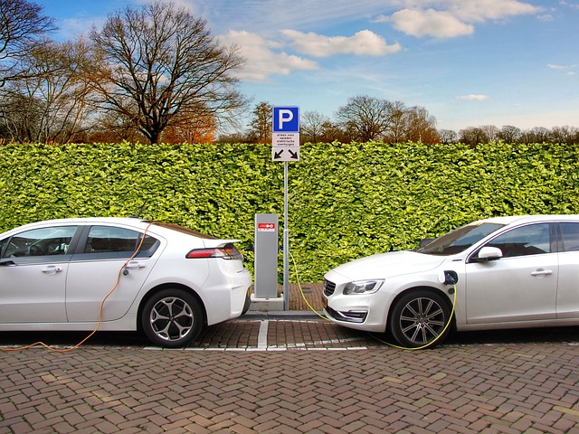 Studie: Elektromobily mají o 80 % více problémů než tradiční vozidla na fosilní paliva5 (9)