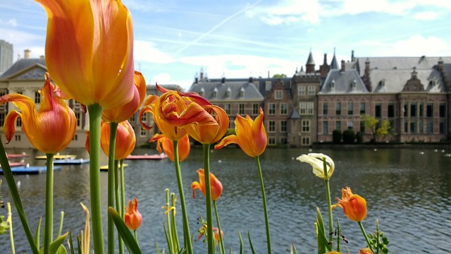 Nizozemský Haag je dalším evropským městem, které zakazuje auta na fosilní paliva5 (8)