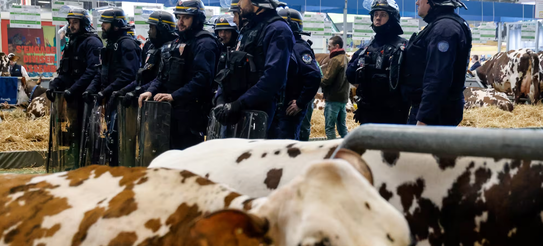 Francie: Zemědělci zaútočili na Macrona, došlo ke střetům s policií a ochrankou (videa)5 (20)