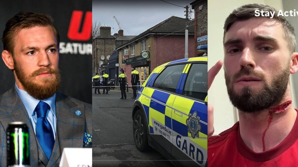 Oběť „psychicky nemocného migranta,“ který nedávno útočil v Irsku, ukazuje poraněný krk5 (12)