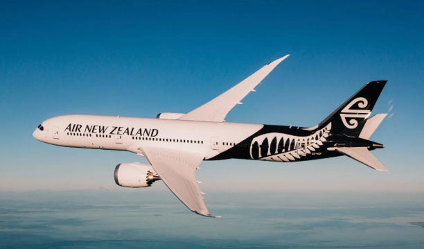 Práci nebo zdraví?  Pilot s perikarditidou po nuceném očkování u soudu5 (20)