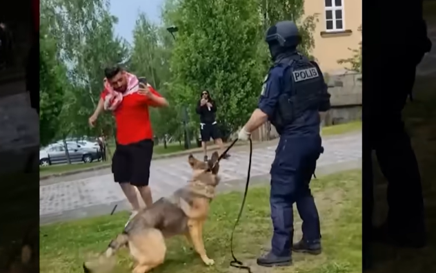 Dánsko: Nucené přemisťování ghett se stupňuje (video)5 (18)