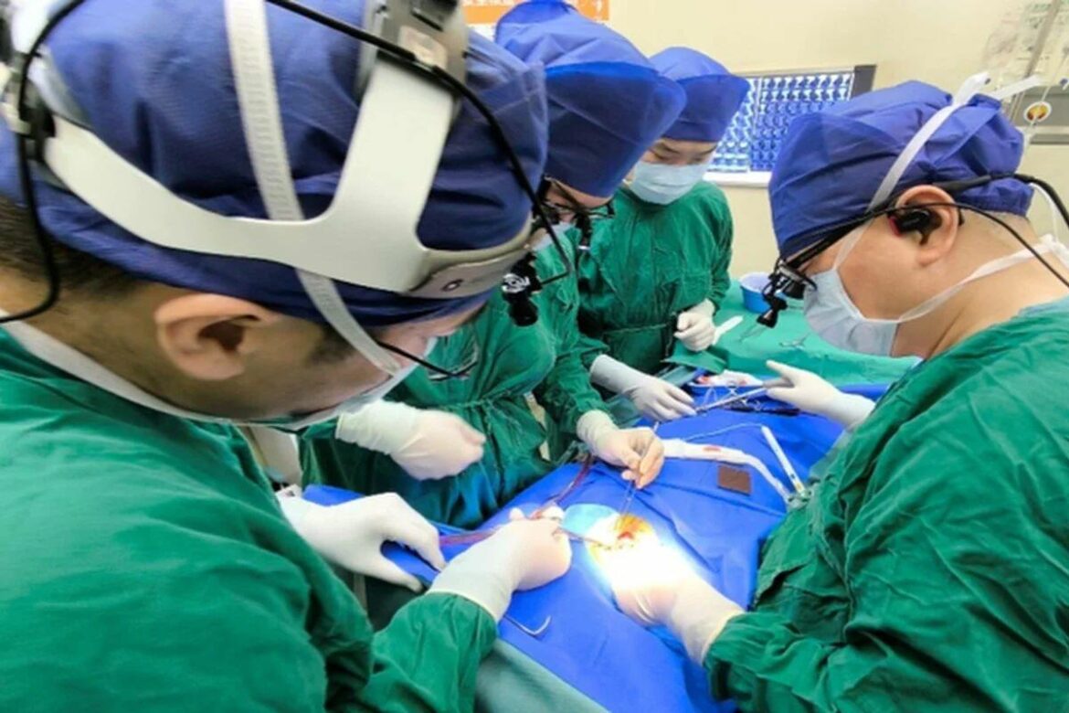 Robot selhal, muži téměř setnul hlavu4.5 (15)