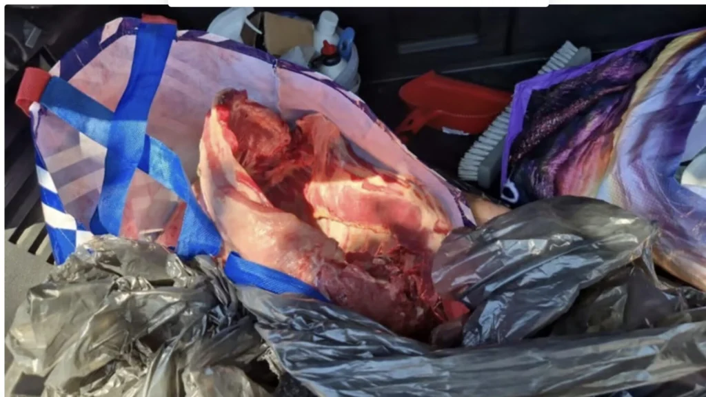 Francie: Afričané uprostřed parku plného lidí porazili, stáhli a naporcovali ovci4.6 (11)