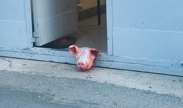 Prasečí hlavy před mešitami ve Francii údajně umístili Srbové (video)5 (20)