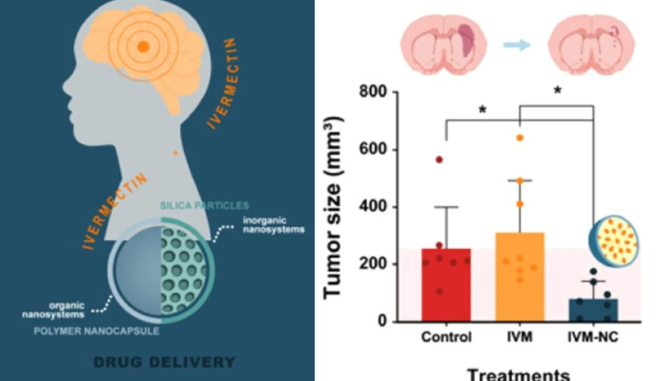 Nová studie ukazuje, že ivermektin zmenšuje mozkové nádory o 70%5 (14)