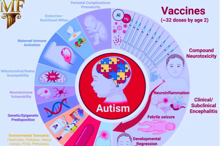 107 studií spojuje vakcíny s autismem a dalšími poruchami mozku: Metaanalýza McCulloughovy nadace5 (8)