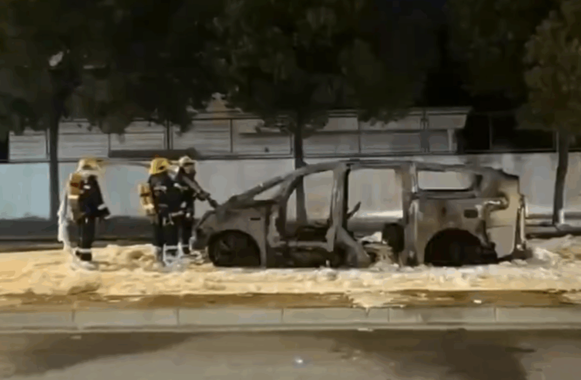 Pouhých 15 vteřin a luxusní elektromobil se stal smrtící ohnivou koulí (video)4.8 (18)