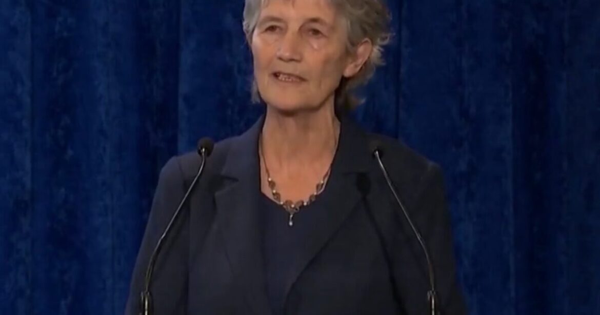 Irsko si zvolilo za svoji prezidentku tvrdou progresivistku a vítačku (video)5 (9)