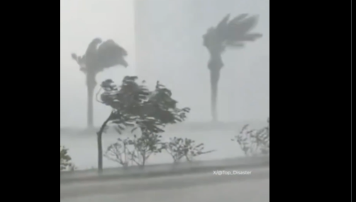 Podívejte se na důsledky geoinženýrství v Saúdské Arábii (video)