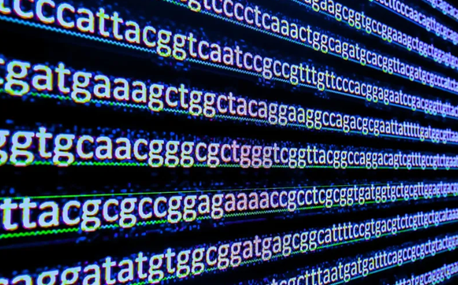 Falešně pozitivní výsledky: PCR test se zřejmě opět zneužívá k falešné epidemii, tentokrát viru Nipah5 (11)