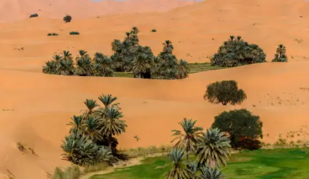 Žádná desertifikace se nekoná: Sahara se zmenšuje s tím, jak se její části stávají stále zelenějšími