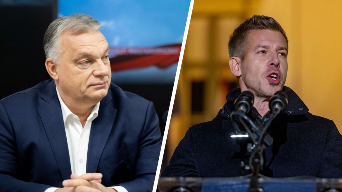 Štěně zaživa uvařené v mikrovlnce a masturbace před dětmi: Uškodí šokující informace vůdci Magyarovi ve volbách?4.9 (24)