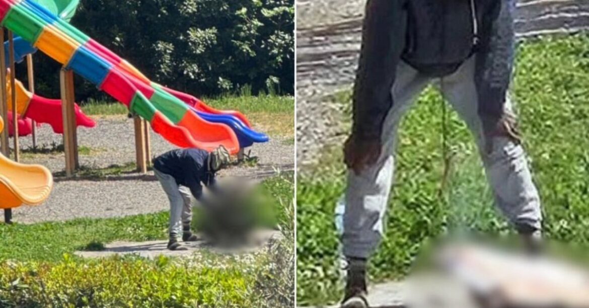 Itálie: Nigerijec byl zatčen poté, co zabil kočku a pokusil se ji ugrilovat na dětském hřišti5 (6)