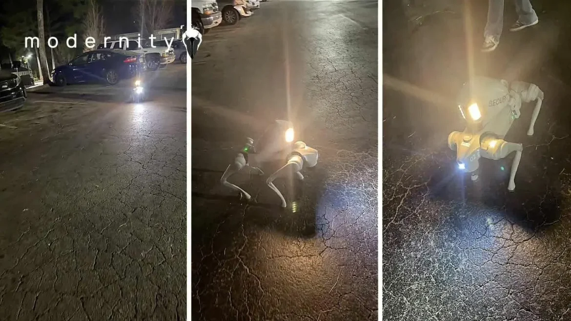 USA: Podívejte se, jak funguje hlídací robotický pes řízený z Indie (video)4.5 (8)